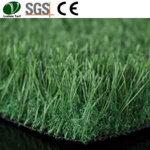 Wholesale Backyard Putting Green Real Grass Garden Landscaping 60mm Pile Height from china suppliers