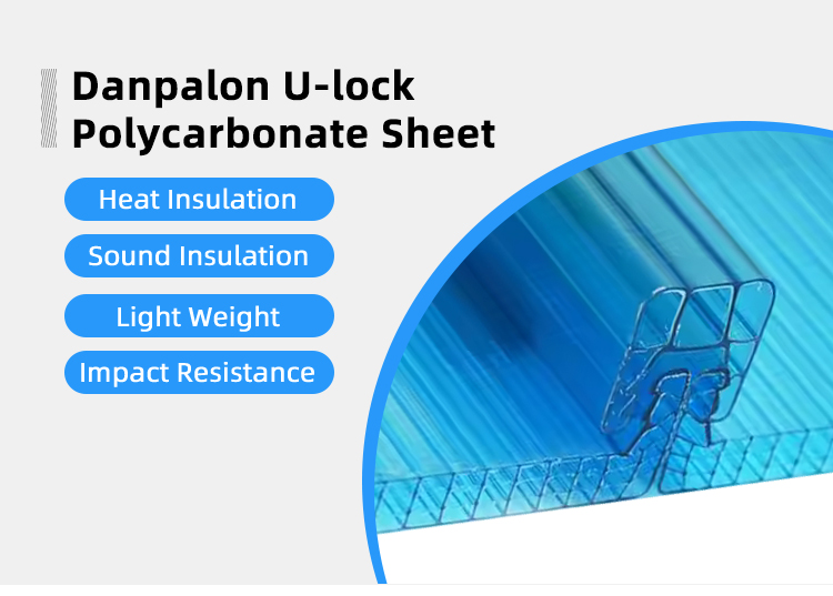 Composite Co Extrusion U-LOCK Panel Colored Transparent Hollow Board For Danpalon Polycarbonate Facade Double Hook Panel