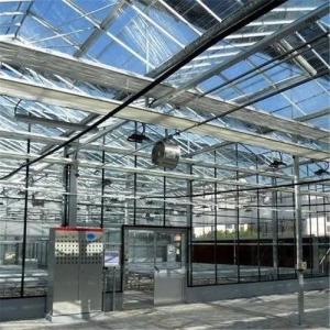 Wholesale Turnkey Glass and Production Capability Cover Production Greenhouse for Vertical Farming from china suppliers