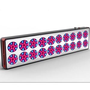 Wholesale Best Selling Products 300*3W Full Spectrum 1000 watt led grow lights from china suppliers