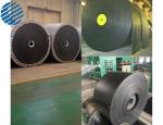 NCR Inner Transport Flat Rubber Belt Rubber Flexible 445-0593693