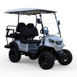 Electric Golf Cart 4 Seater With 48V5KW AC Motor And Aluminum Alloy Hub Curb