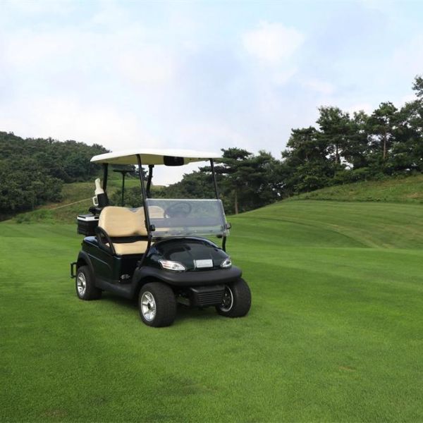 51.2V 100Ah LiFePO4 48v Lithium Golf Cart Battery With BMS 5.12KWH