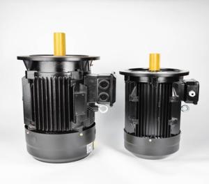 Wholesale Frequency Conversion 100kw Permanent Magnet Motor PM OEM ODM from china suppliers