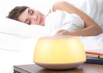 Rechargeable Bedside LED Wake Up Light Sunrise Alarm Clock 20000 Hours Lifetime
