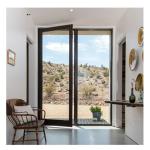 Finished Thermal Break Double Glazed Aluminum Casement Doors with Optional