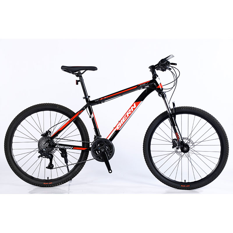Double Wall Rim Cnc Lady Mountain Bike for Smart Riding Yinxing Hydrallic Disc Brake