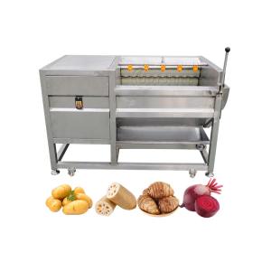 Wholesale Joyshine Shrimp Cleaning Machine for Seafood Washing Small Fish Cleaning 1800*860*850 Size from china suppliers