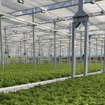 Origin Glass Greenhouse Hydroponics System for Flower Cultivation US 20/Square