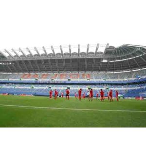 Real Looking Soccer Field Artificial Grass Mats , Football Synthetic Turf