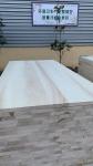 100mm-2440mm Natural Texture Solid Wood Furniture Poplar Plank Panel Edge Glued
