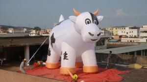 Wholesale Inflatable advertising cow / inflatable advertising ox / inflatable promotion from china suppliers