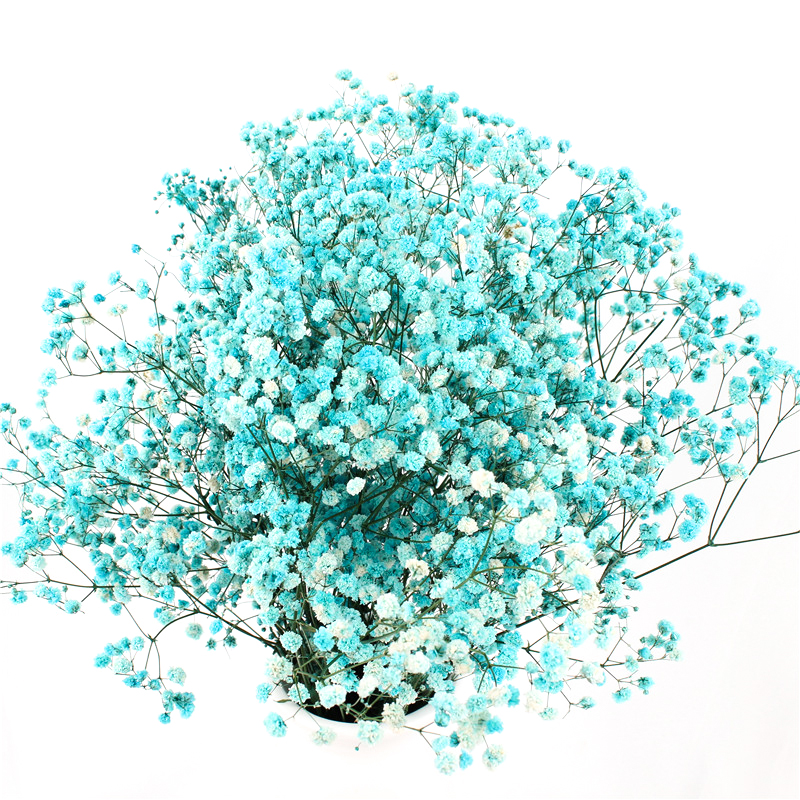 Preserved Gypsophila Baby'S Breath , Dried Gypsophila Wedding Table Flowers