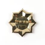 3D Enamelled Gold Finish Pin Badge With Safety Pin Backing 1.15 Inches Perfect