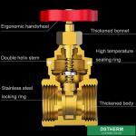 Cast Iron Handle Customized Brand Brass Gate Valve Double Female Heavier type