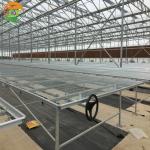 Venlo Polycarbonate Greenhouse for Flower and Vegetable Growing in Customized