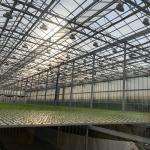 Sleek Glass Greenhouse with Hydroponic Vegetable Setup Enhance Your Farming