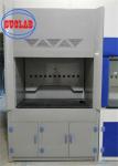 High Safety Level Laboratory Fume Cupboard For Safe Handling Of Biohazardous