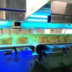 High Quality Industry Commercial Food Material Custom Conveyor System