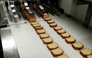 Wholesale ABB Motor Cake Rusk And Drying Cake Loaf Cake Friut Cake Production Equipment from china suppliers