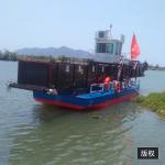 Enteromorpha Small Aquatic Weed Harvester Water Hyacinth Duckweed Reed Harvester