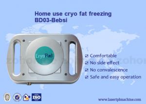 Wholesale Home use mini Cryo antifreeze pad cryolipolysis body slimming machine from china suppliers