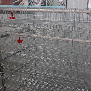 Wholesale Indoor Farm Quail Breeding Cages 6 Tiers 12 Cell 288 Quails from china suppliers