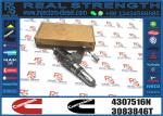Fuel Injector 4307516N 3411767T 3407776 3087807 341176