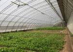 Assembled Solar Greenhouse Steel Pipe Single Tunnel For Seeding / Planting