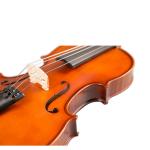 Free Shipping Stradivari Cremonese 1716 Model Violin FPVN01 with Canvas Case and
