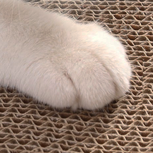 Easy Fold Corrugated Playhouse for Pets Eco-Friendly Foldable Paper Cat Scratch Cardboard House Indoor