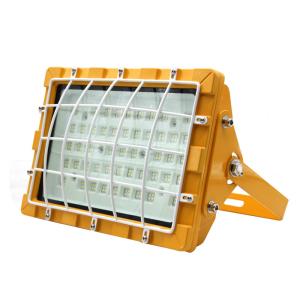 Wholesale AC85-265V IP66 Explosion Proof Lighting Fixtures Energy Efficiency from china suppliers