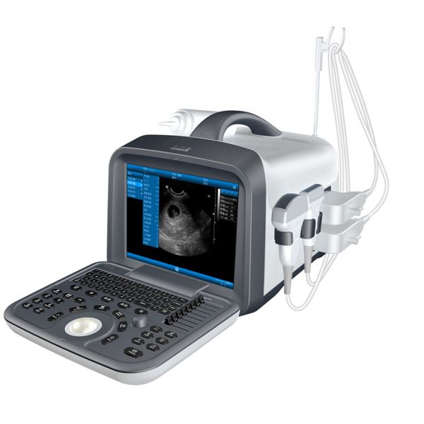 2021 Top Selling Medical Ultrasound Instruments, Portable B&w Ultrasound Scan Machine for Hospital
