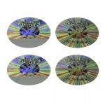 Custom Laser Hologram Label Adhesive Holographic Sticker Printing