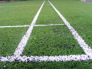 Wholesale Sport Hard Wearing Artificial Grass White 50mm PP PE Fabric Material from china suppliers