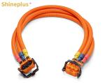 Automobile High Voltage Wiring Harness (High Voltage Distribution Box - Motor)