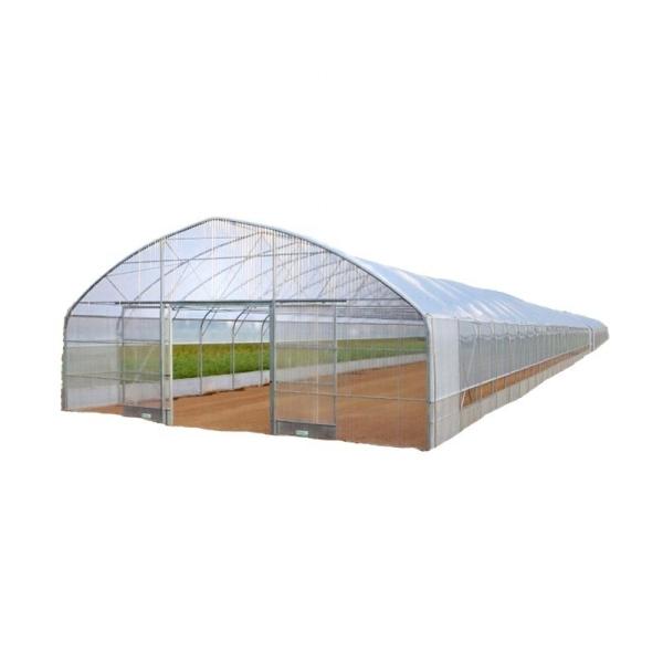 Hydroponic Supplies for Single-Span Greenhouses Cooling Irrigation Ventilation