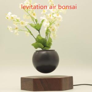 Wholesale factory sale magnetic levitation air bonsai flowerpot many style for choose from china suppliers