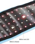 Multifuction Infrared Red Light Therapy Machine Near Infrared 660nm 850nm