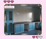 Multi Functional Chemistry Lab Bench Modular Lab Furnitures With Safeguard Cover