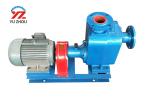 Cast Iron Kerosene Transfer Pump , Electric Bilge Pump Easy Operation