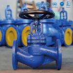 EN 13709 DN15 - DN400 Bellow Globe Valve Rising Non Rotating Stem
