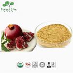 Ellagic Acid / Gallogen 40 % - 90 % Pomegranate Peel Extract