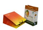 Small Paper Carrier Bag With Foil Hot Stamp Logo for Advertising