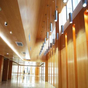 Wholesale Spraying Coating Brushed Aluminium Tiles 1.2mm Adhesive Suspended Ceiling Panel from china suppliers