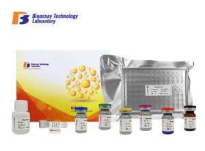 Wholesale High Specificity Porcine ACTH Sandwich Immunoassay Test Kit With 2 Hours Assay Time from china suppliers