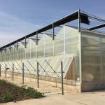 Commercial Polycarbonate Greenhouse for Versatile Vegetable Fruit and Flower