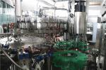 32 Head 10000BPH Beer Bottle Filling Machine , Glass Bottling Capping Machine