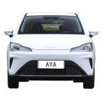 Neta AYA China Electric Car SUV Pure New Energy 318km
