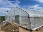 200 micron UV Protection PE Film Single Tunnel Greenhouse For Tomato and
